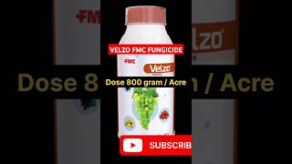 Velzo fungicide  FMC Velzo fungicide  velzo fmc fungicide  velzo [upl. by Roleat]