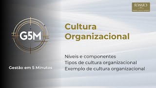 Tipos de cultura organizacional  Gestão em 5 Minutos G5M [upl. by Anigger]