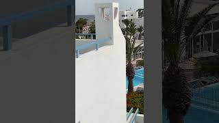 Costa Mar Apartment Hotel 🏨 Lanzarote Blick von der Terrasse Pool ampMeer [upl. by Arraic]