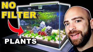 NO FILTER AQUARIUM SETUP PLANTING  MD FISH TANKS [upl. by Eruza455]