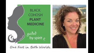 Black Cohosh  Plant Medicine guided by Spirit  with Tania Leanne [upl. by Eremahs]