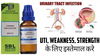 Conium Maculatum 200C Benefits Uses Side effects Review in Hindi  Review Remedy [upl. by Elag]