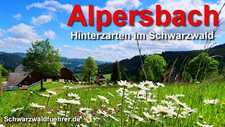 Alpersbach bei Hinterzarten im Schwarzwald [upl. by Amsa288]