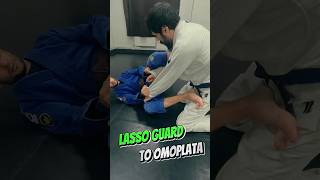 Lasso Guard to Omoplata Секрет раскрыт [upl. by Ahsaekal896]