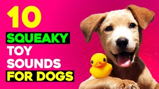 10 Squeaky Toys Sounds for Dogs  Sounds that Call Dogs [upl. by Yendyc]