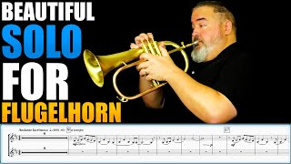 GORGEOUS FLUGELHORN SOLODUET quotBroken Piecesquot by Iain Mundy amp Matonizz Sheet Music Play Along [upl. by Ydnyc]