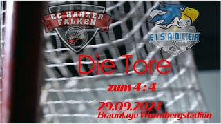 Die Tore Harzer Falken Eisadler Dortmund [upl. by Petty]