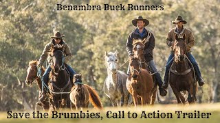 Save the Brumbies Documentary Pitch Film [upl. by Nyrhtak]