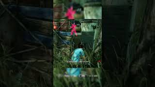 👁️👄👁️ dbd dbdmemes dbdshorts dbdgameplay deadbydaylight dbdsurvivor [upl. by Jabin]