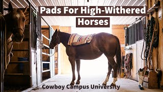 Keiths Favourite Saddle Pad amp Pads For HighWithered Horses [upl. by Engvall]