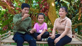 The process of happy family together  Harvest fruit Build a wooden house on a new farm [upl. by Stedt]