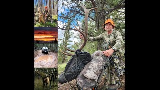 Elk Hunt in Colorado  2 Bulls with a muzzleloader [upl. by Letizia]