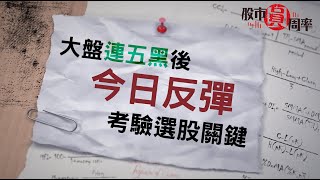 大盤連五黑後，今日反彈，考驗選股關鍵！｜1131119 股市圓周率｜台積電 半導體 玻璃基板 矽光子 [upl. by Nosna]