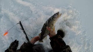 The Secret To Catching Walleyes On TipUps When No One Else Is… [upl. by Wivestad]