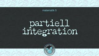 5 333 partiell integration [upl. by Adirem]