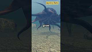 quotTop 3 MindBlowing Facts About the Giant Squid  Deep Sea Mysteryquotfacts shorts [upl. by Amaras]