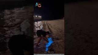 ഇതെന്തോന്നാ😲 Bioluminescent Plankton Glow on Beaches in Maldives  shorts facts shortsfeed [upl. by Naelcm]