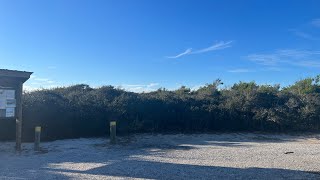 Grayton Beach State Park scene from Beach Access from Cabins area [upl. by Tlevesoor]