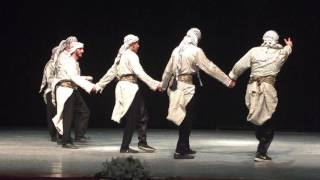 Palestinian Tradtional Dabke at Near East University [upl. by Sanborne445]