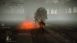 Divine Beast Dancing Lion against Sir Ansbach Obsidian Lamina  Elden Ring DLC [upl. by Eelyk783]