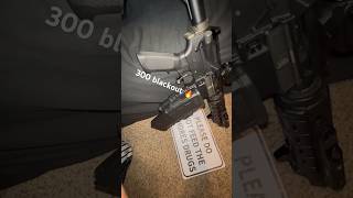 FullAuto AR15 300blackout legallydangerous switch [upl. by Rempe980]