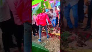 Tohari sajaniya vlog viralvideo video newstatus [upl. by Ynoble]