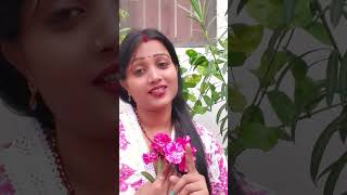 Goriya kalaiya bollywood music song hindisong bollywoodsongs chhatha bollywoodmusic [upl. by Divadleahcim]