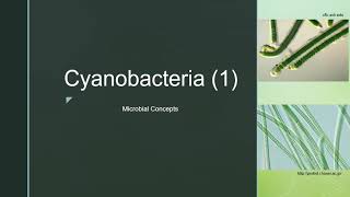 Cyanobacteria 1  Blue Green Algae Cell structure  Examples  Reproduction [upl. by Ninette]