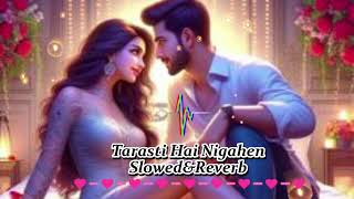 Tarasti Hai Nigahen SlowedReverb  Asim Azhar  Lofi  New Song 2024 [upl. by Enylorac821]