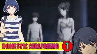 Domestic Girlfriend season 1 Episode 1 in hindi  Anime explanation in hindi  CARRY ANIME [upl. by Whittaker]