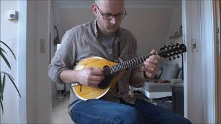 Phoebe´s RestBen Winship  Hartmann A Oval Hole Mandolin [upl. by Okiek]