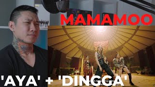 MAMAMOO AYA  DINGGA MV  LYRICS  REACTION [upl. by Htabmas]