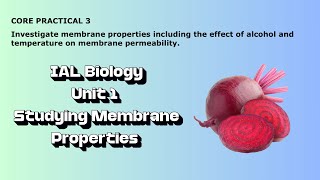 IAL Biology Core Practical 3 Investigating membrane properties [upl. by Asirahc]