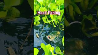 Fishing with a Hook Simple Techniques for Big Rewards trending fishing মাছধরা fish reel [upl. by Cantone]