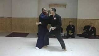 NINJUTSU TAIJUTSU COORDINATED BLOCKS amp STRIKES [upl. by Nigen]