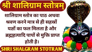 श्री शालिग्राम स्तोत्रम्Shaligram Stotramसमस्त मनोकामनाओं को पूर्ण करता है यह स्तोत्र [upl. by Simmie]