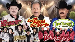 📌Los Huracanes del Norte✅Los Rieleros Los Tigres del Norte Cardenales Los Invasores Ramon Ayala [upl. by Beeson768]