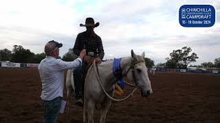 CC with Will Durkin at Chinchilla Campdraft [upl. by Wolff]