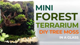 DIY Tree Moss  Mini Forest Terrarium [upl. by Asilram397]