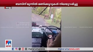 ആനവണ്ടിക്കടുത്തേക്ക് പാഞ്ഞടുത്ത് ആനക്കുട്ടി  KSRTC Bus Elephant [upl. by Cristine621]