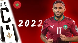 Sofiane Boufal ● Moroccan Magician ● Crazy Skills amp Goals  HD [upl. by Fiore]