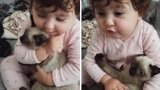 Adorable toddler cuddles with impressively tolerant cat [upl. by Millham]