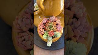 DIY Succulent Centerpiece Easy amp Inexpensive🪴succulents suculentasdiy [upl. by Ioyal]