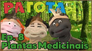 Patota  Plantas Medicinais Episódio 08 [upl. by Fayette]