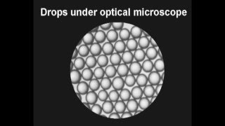 Dispersion Cell for Membrane Emulsification [upl. by Shellans]