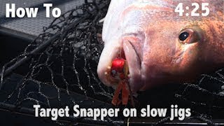 HOW TO TARGET SNAPPER ON SLOW JIGS [upl. by Atikan713]