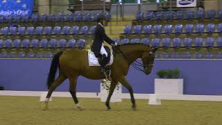 Lindsey Ware and Aristede place 5th in the Grand Prix CDI3 at the Sydney CDLite [upl. by Evol]