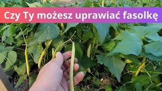 Fasolka szparagowa nie dla Wszystkich [upl. by Ma]