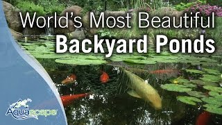 Worlds Most Beautiful Backyard Ponds [upl. by Elliot]