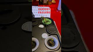 My Hydroponic Failure Take 1 gardening garden flowers plants shortsvideo fails [upl. by Vershen253]